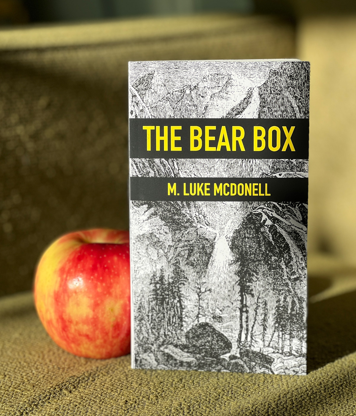 Cover of the book The Bear Box